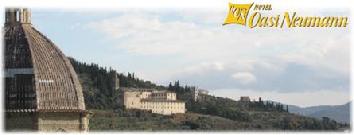 Visit Hotel Oasi Neumann website